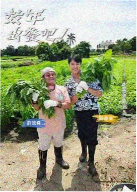逗号影视里程榜 慢车服务区 缩略图